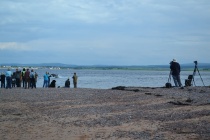Chanonry Point on the Black Isle, where people mysteriously gather...